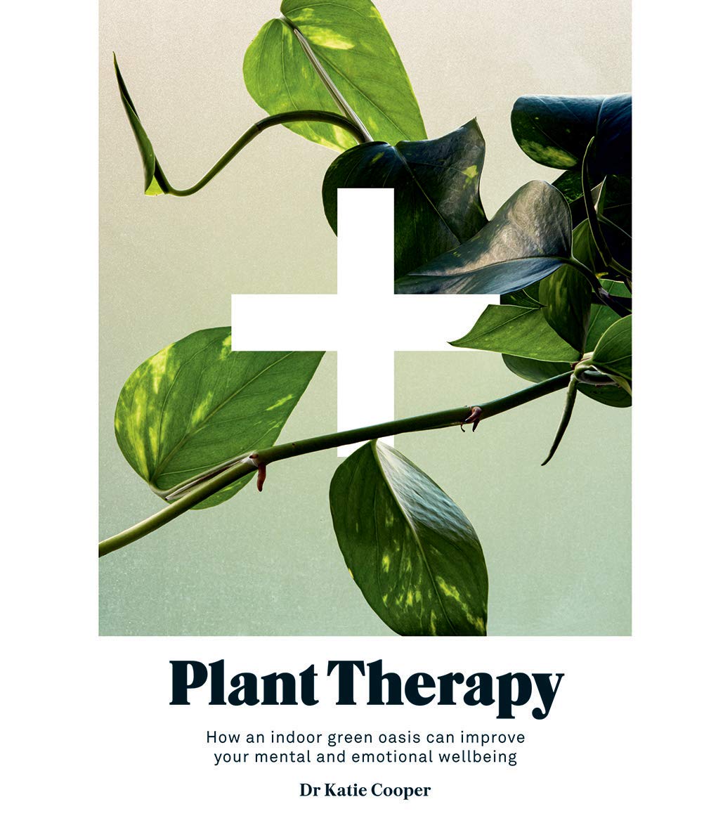 Plant Therapy. How an Indoor Green Oasis Can Improve Your Mental and Emotional Wellbeing
Plant Therapy. How an Indoor Green Oasis Can Improve Your Mental and Emotional Wellbeing