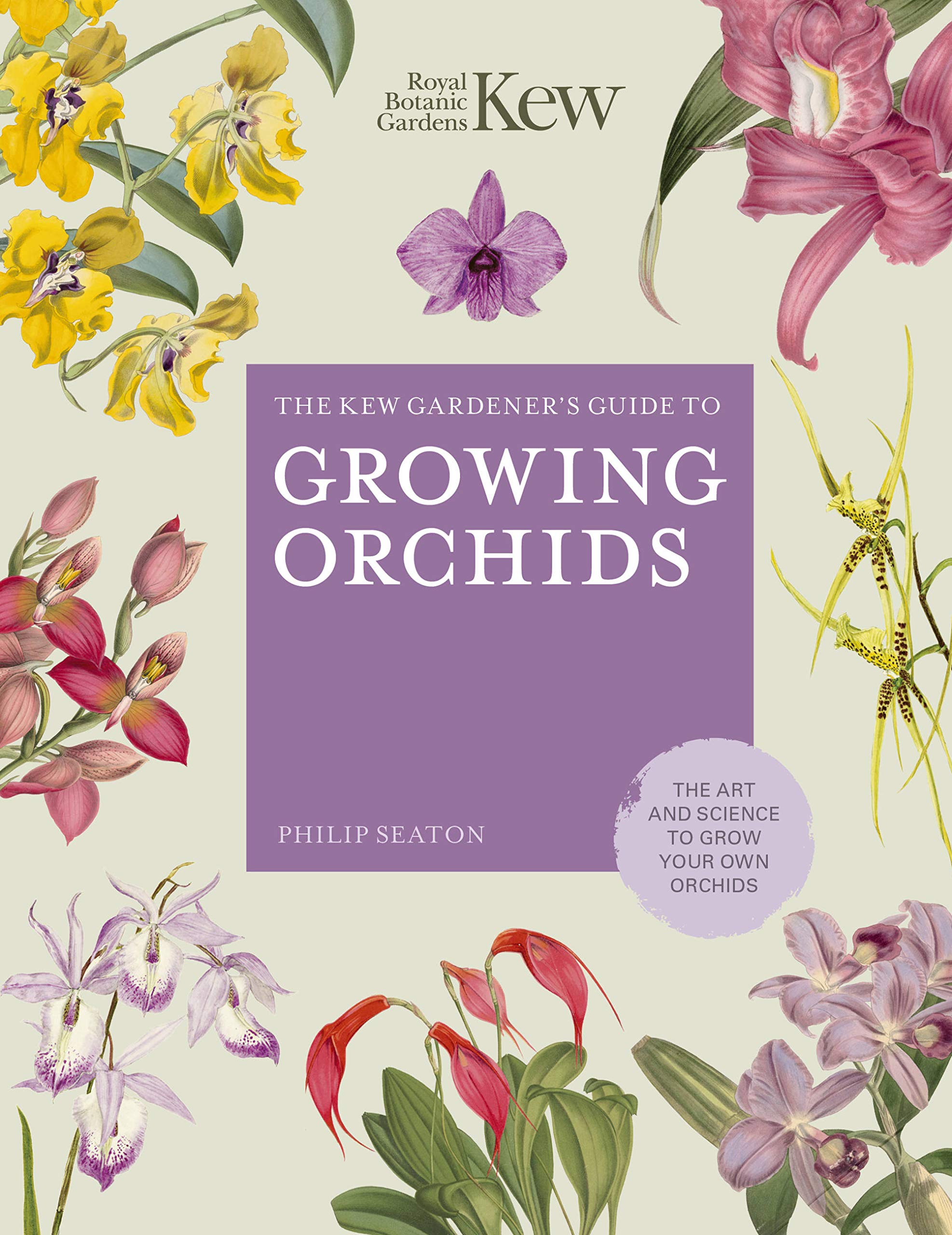 Kew Gardener's Guide to Growing Orchids. The Art and Science to Grow Your Own Orchids
Kew Gardener's Guide to Growing Orchids. The Art and Science to Grow Your Own Orchids
