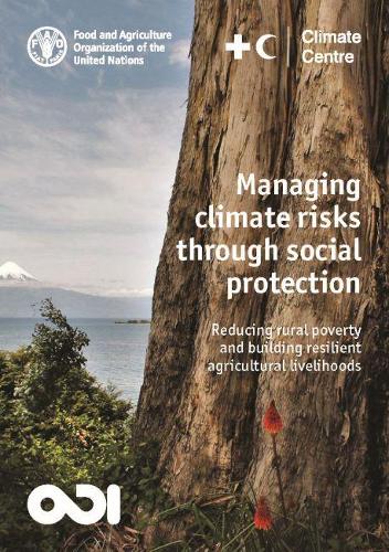 Managing climate risks through social protection: reducing rural poverty and building resilient agricultural livelihoods
Managing climate risks through social protection: reducing rural poverty and building resilient agricultural livelihoods