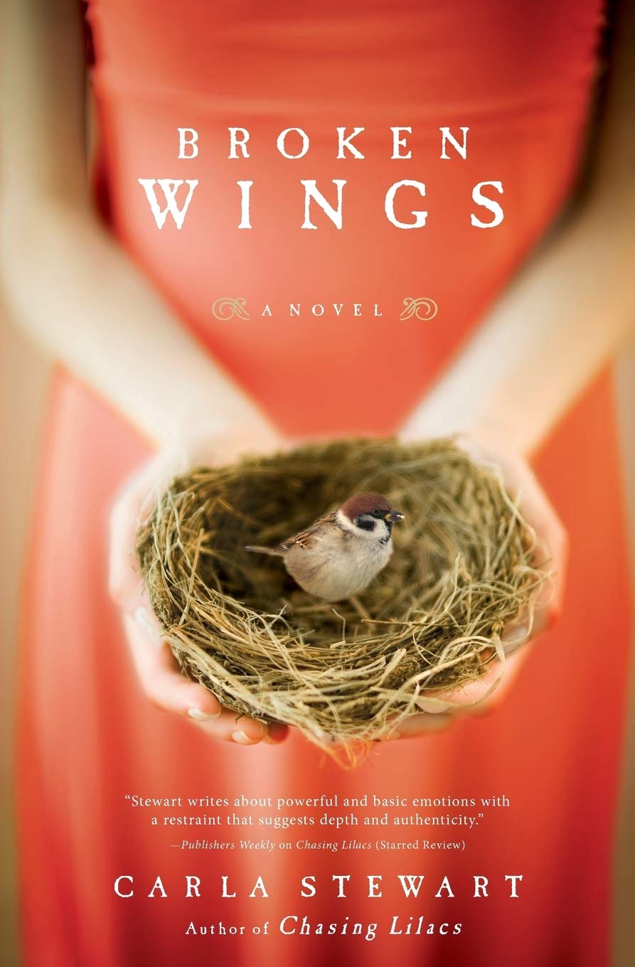 

Broken Wings