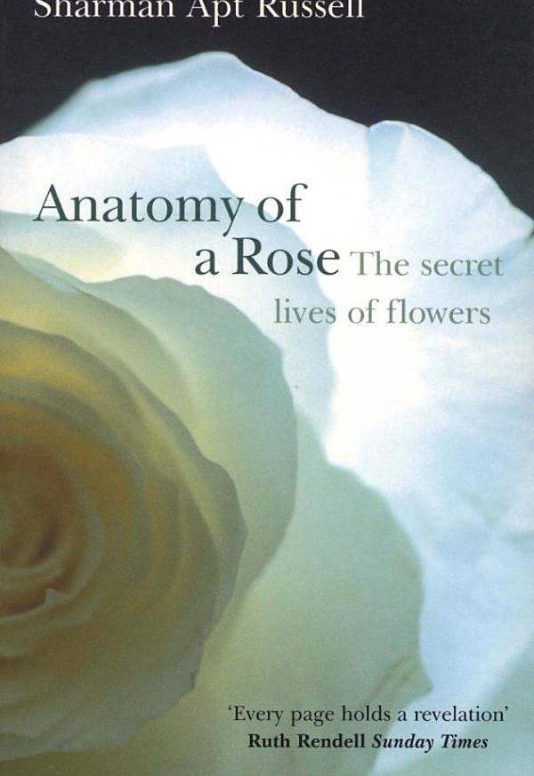 

Anatomy Of A Rose. The Secret Life of Flowers