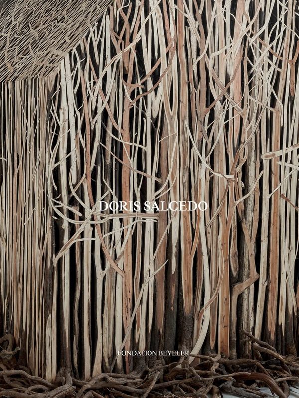 

Doris Salcedo