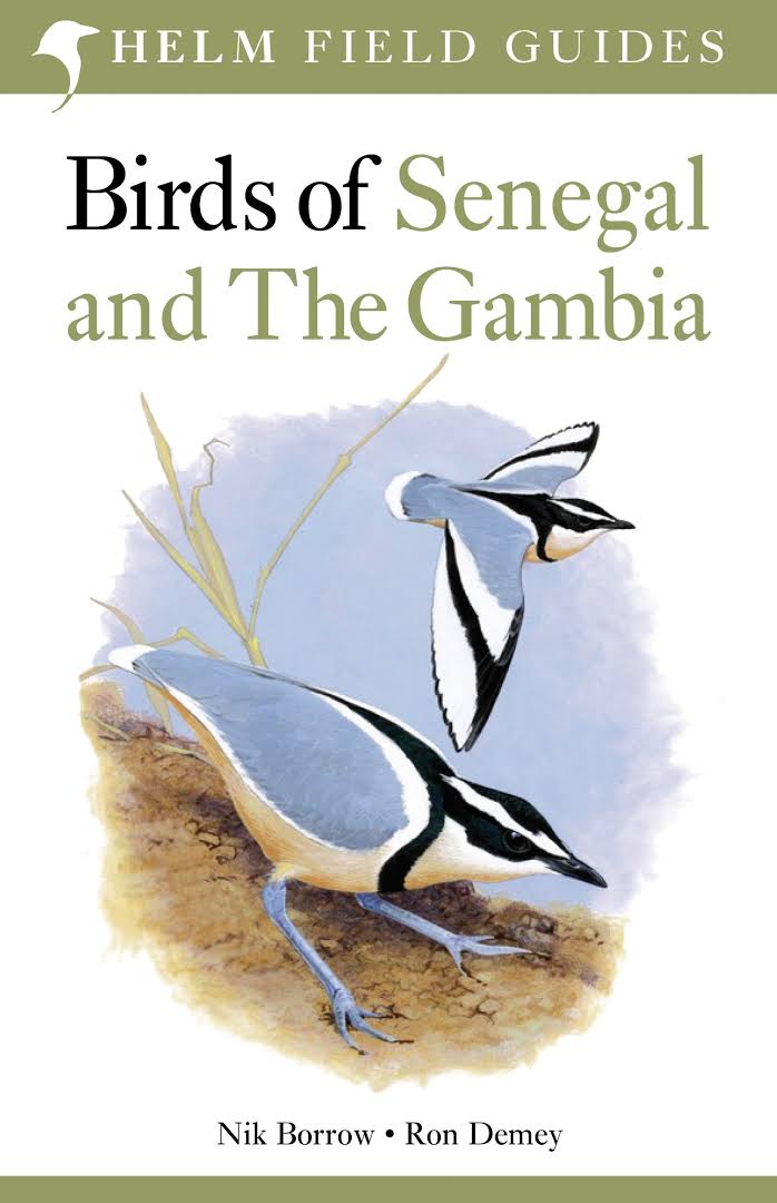 

Birds of Senegal and The Gambia