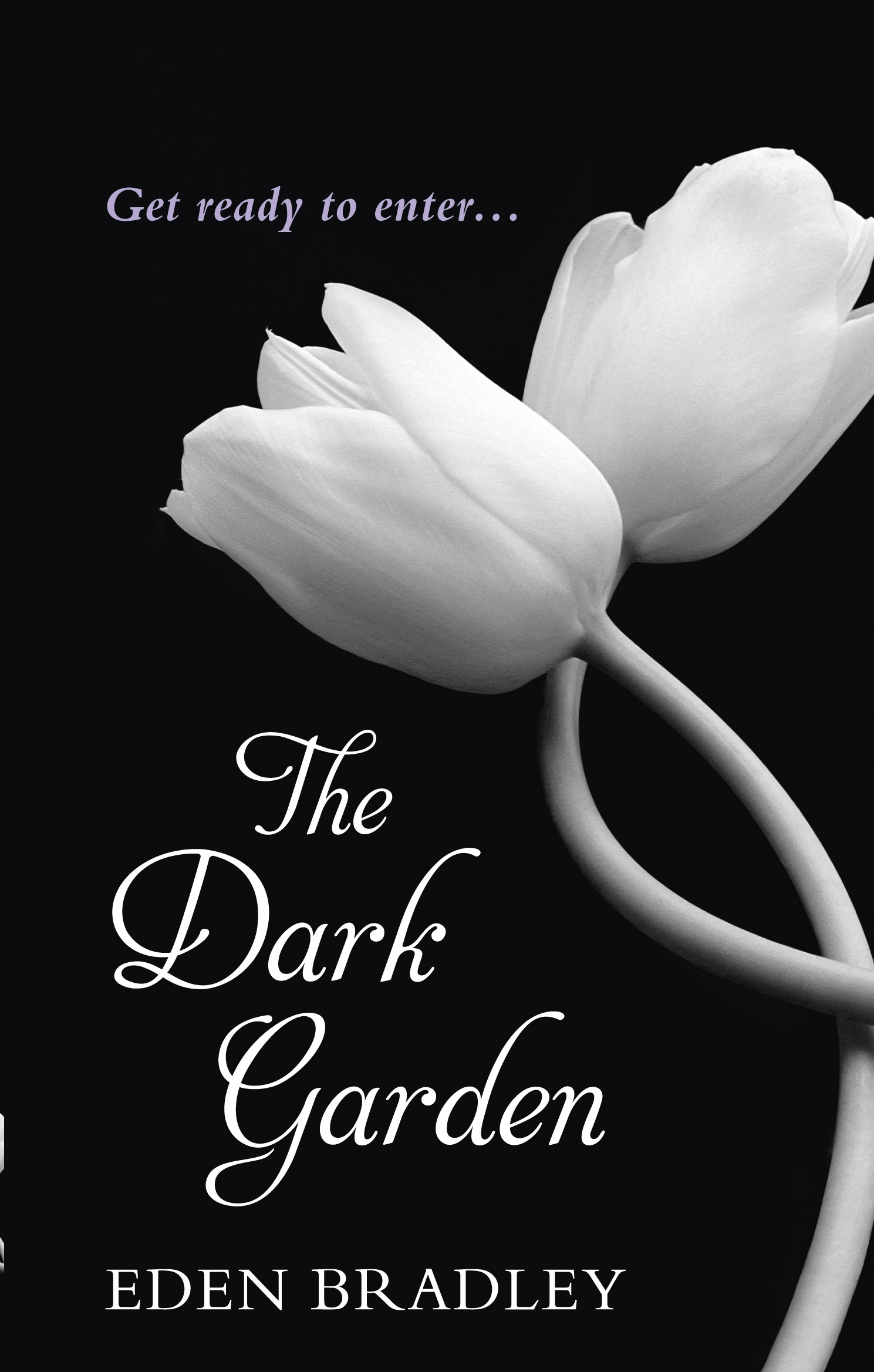 

The Dark Garden