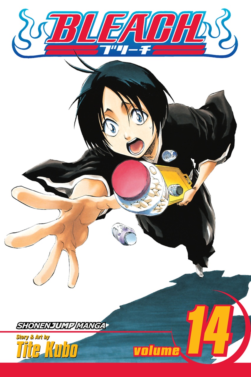 

Bleach. Volume 14