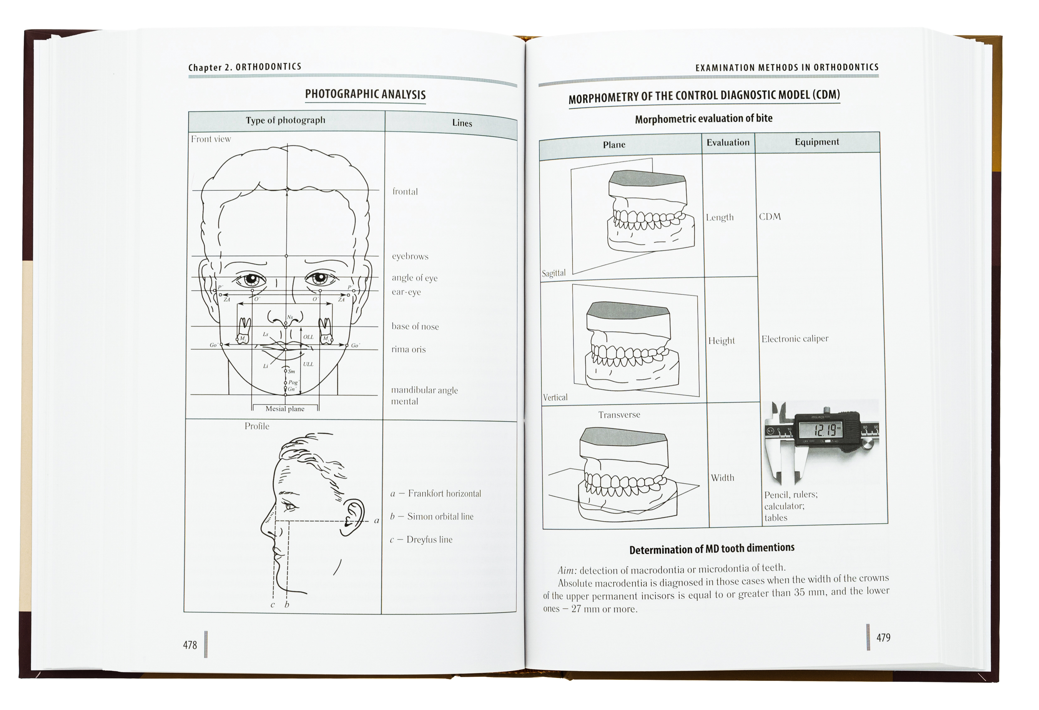 Stomatology in 2 books. Book 1 — фото 5