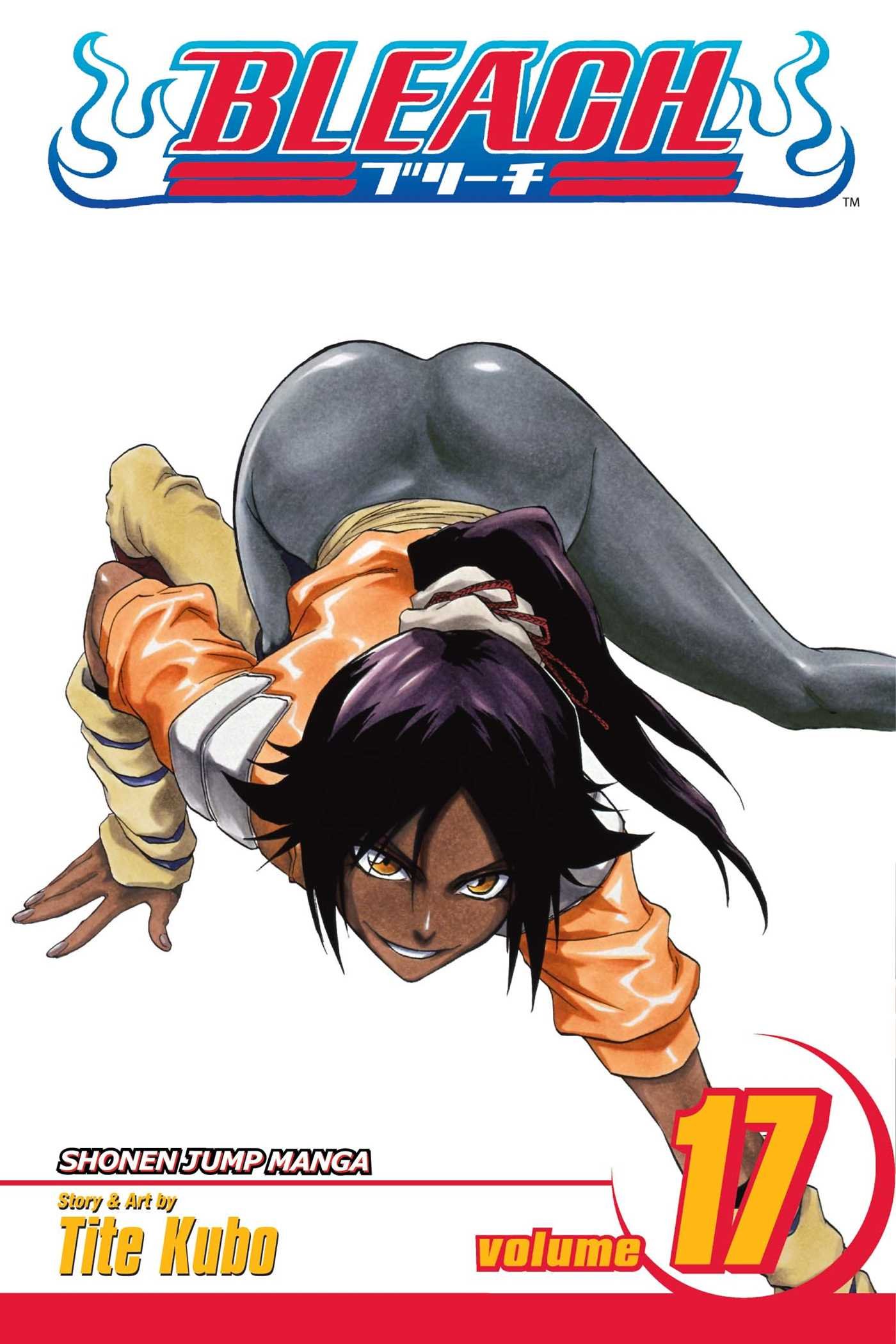 

Bleach. Volume 17