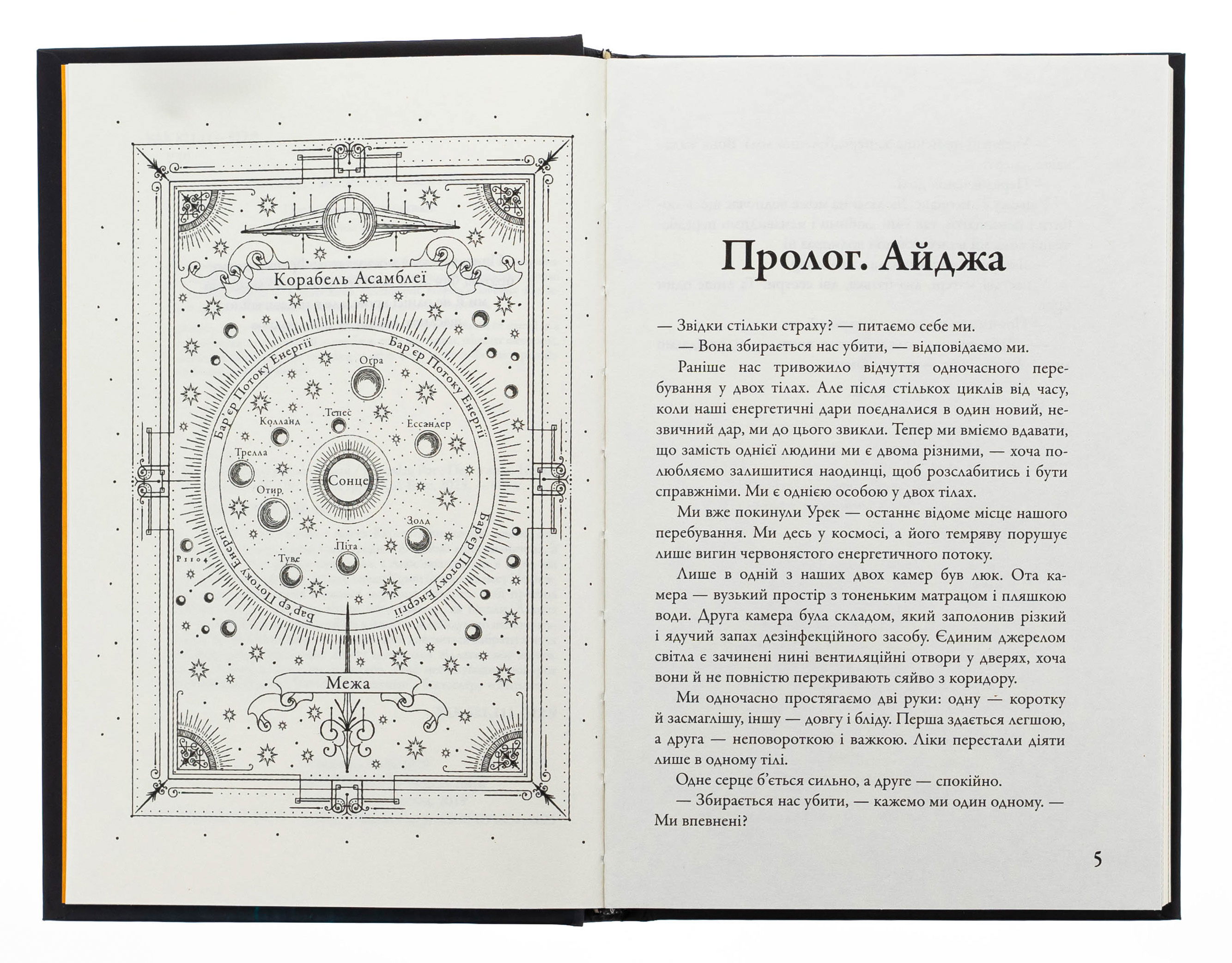 Розділені долею. Книга 2 — фото 6