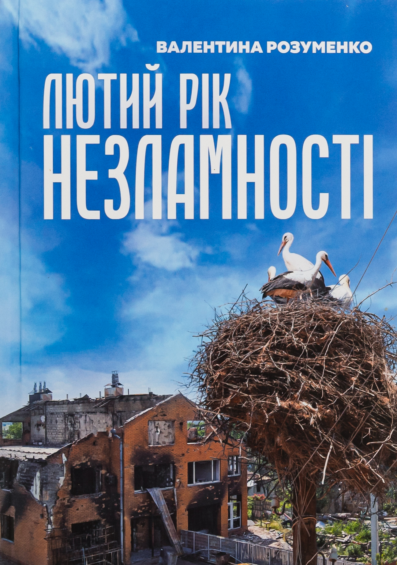 Лютий рік незламності 