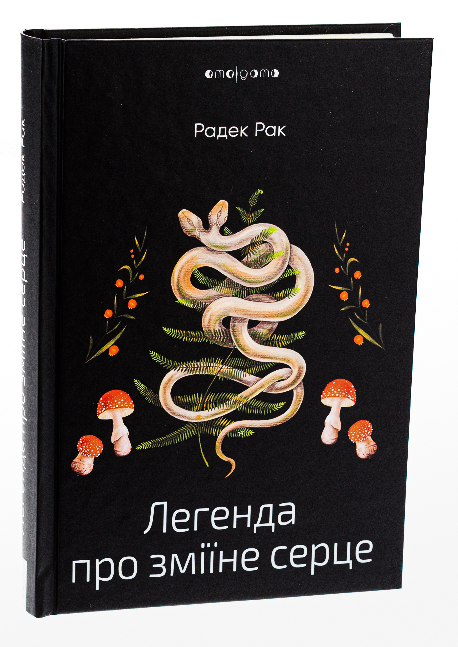 Легенда про зміїне серце, або Друге слово про Якуба Шелю — фото 3