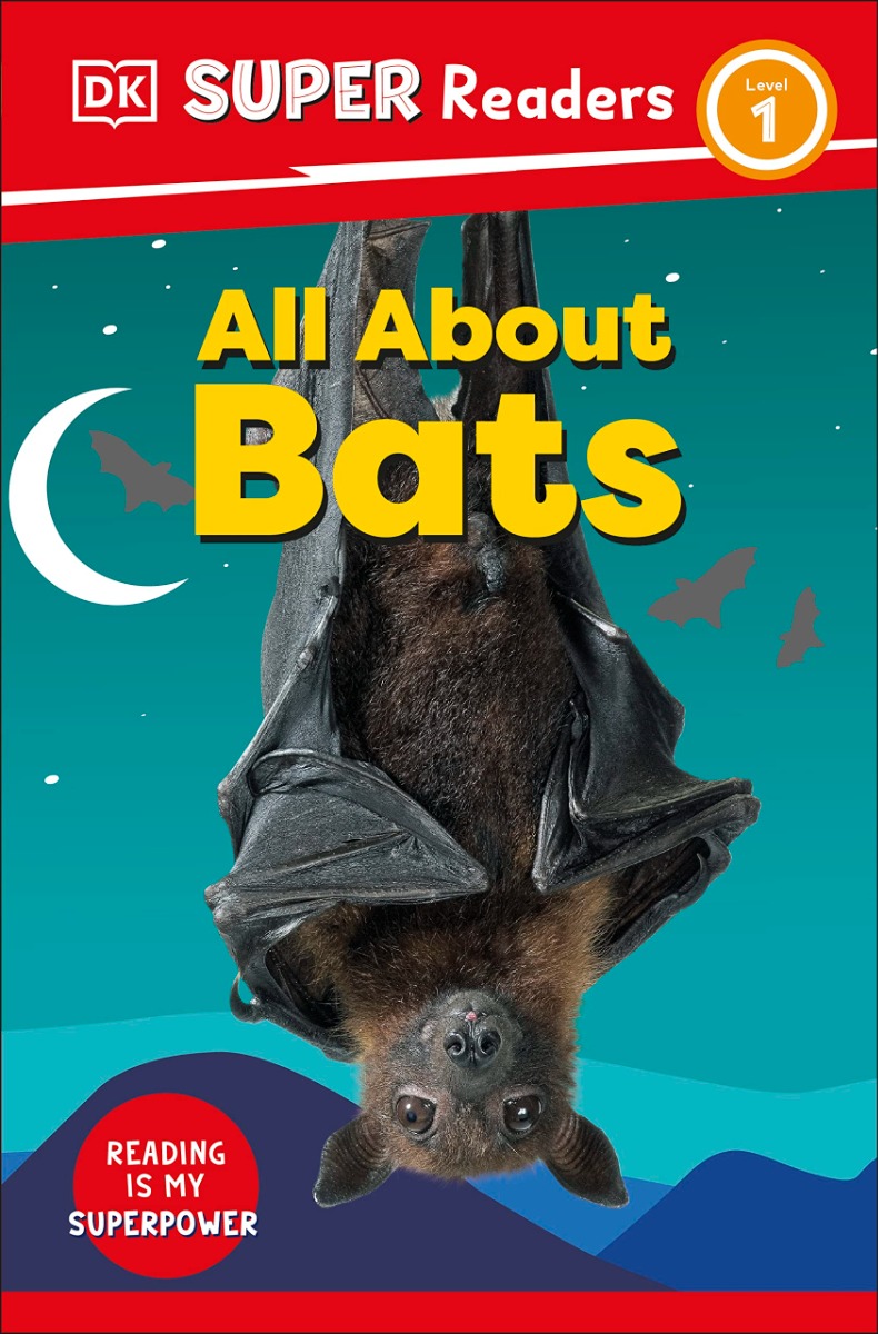 

All About Bats