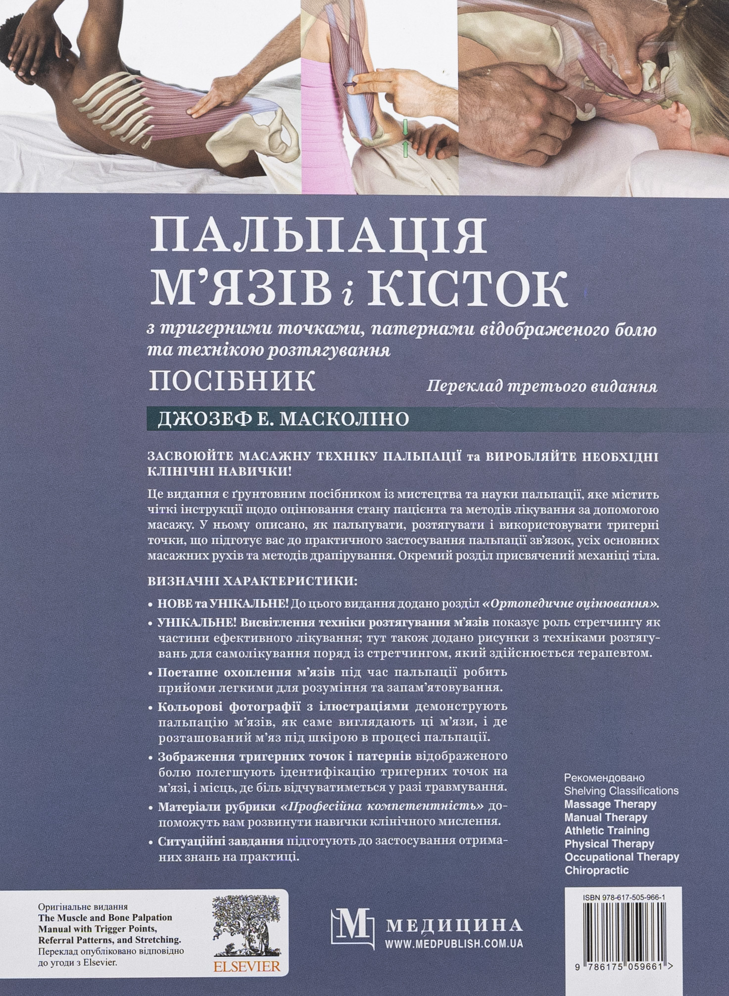 Пальпація м’язів і кісток з тригерними точками, патернами відображеного болю та технікою розтягування — фото 2