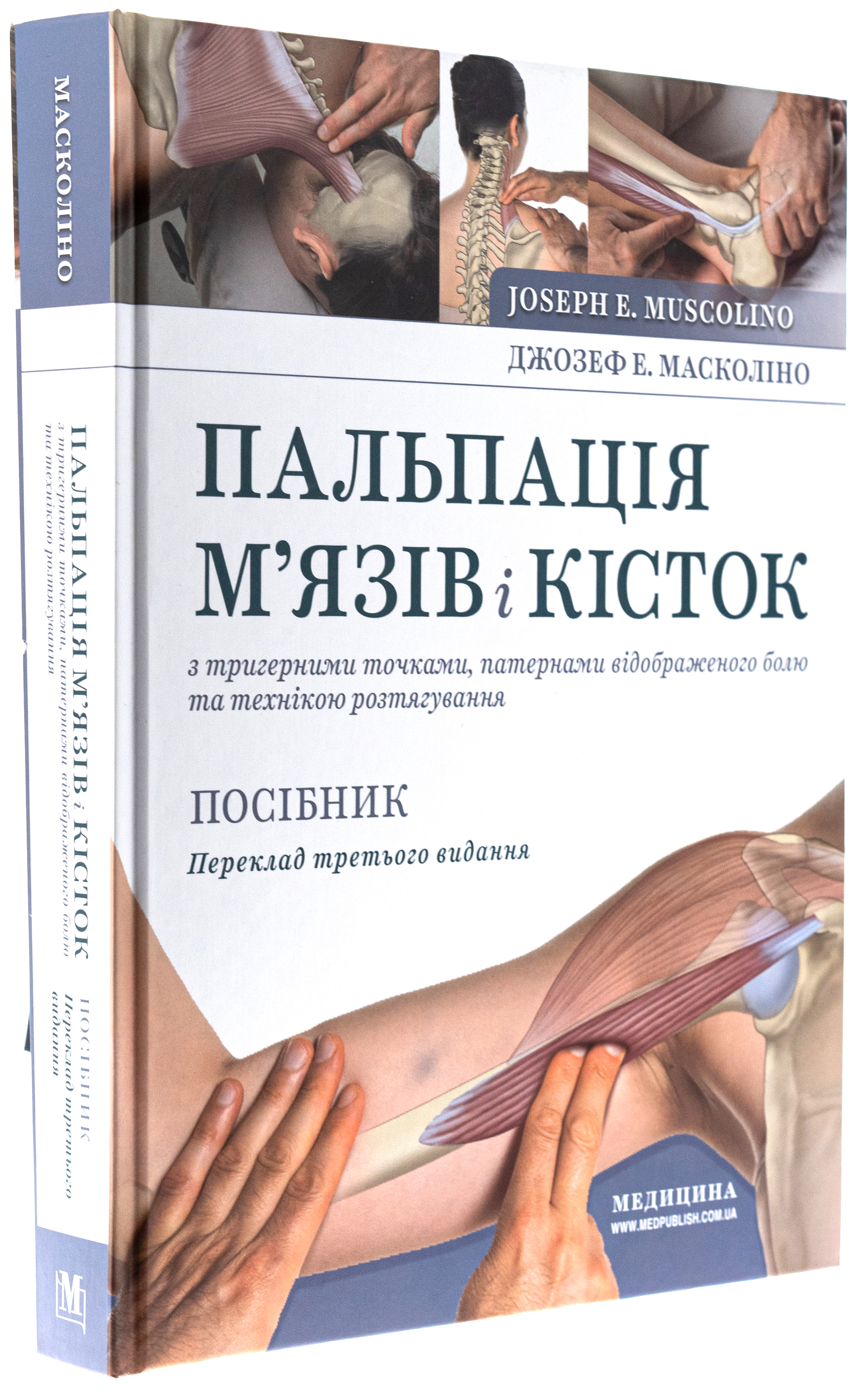 Пальпація м’язів і кісток з тригерними точками, патернами відображеного болю та технікою розтягування — фото 3