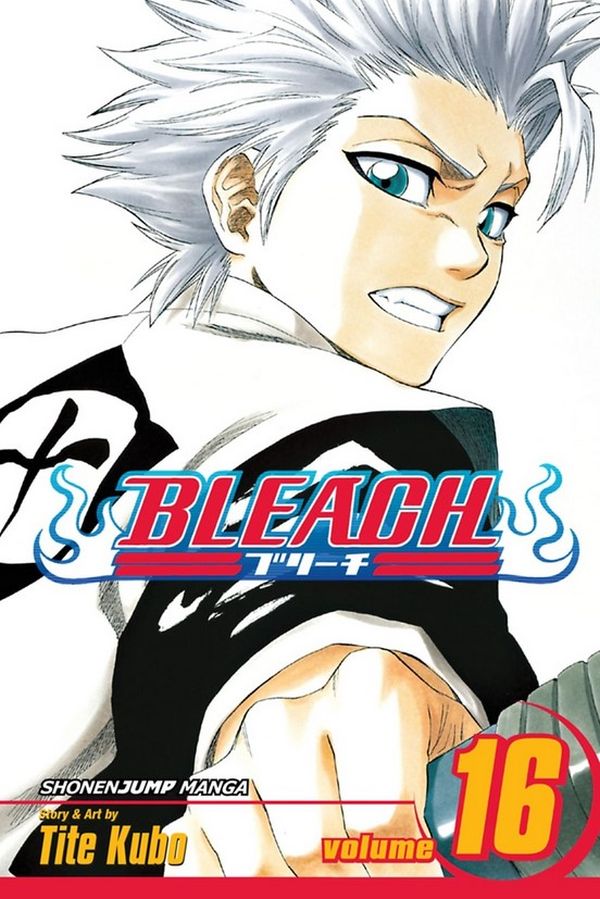 

Bleach. Volume 16