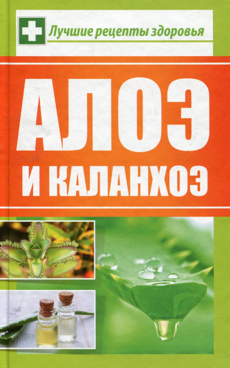 

Алоэ и каланхоэ. Лучшие рецепты здоровья