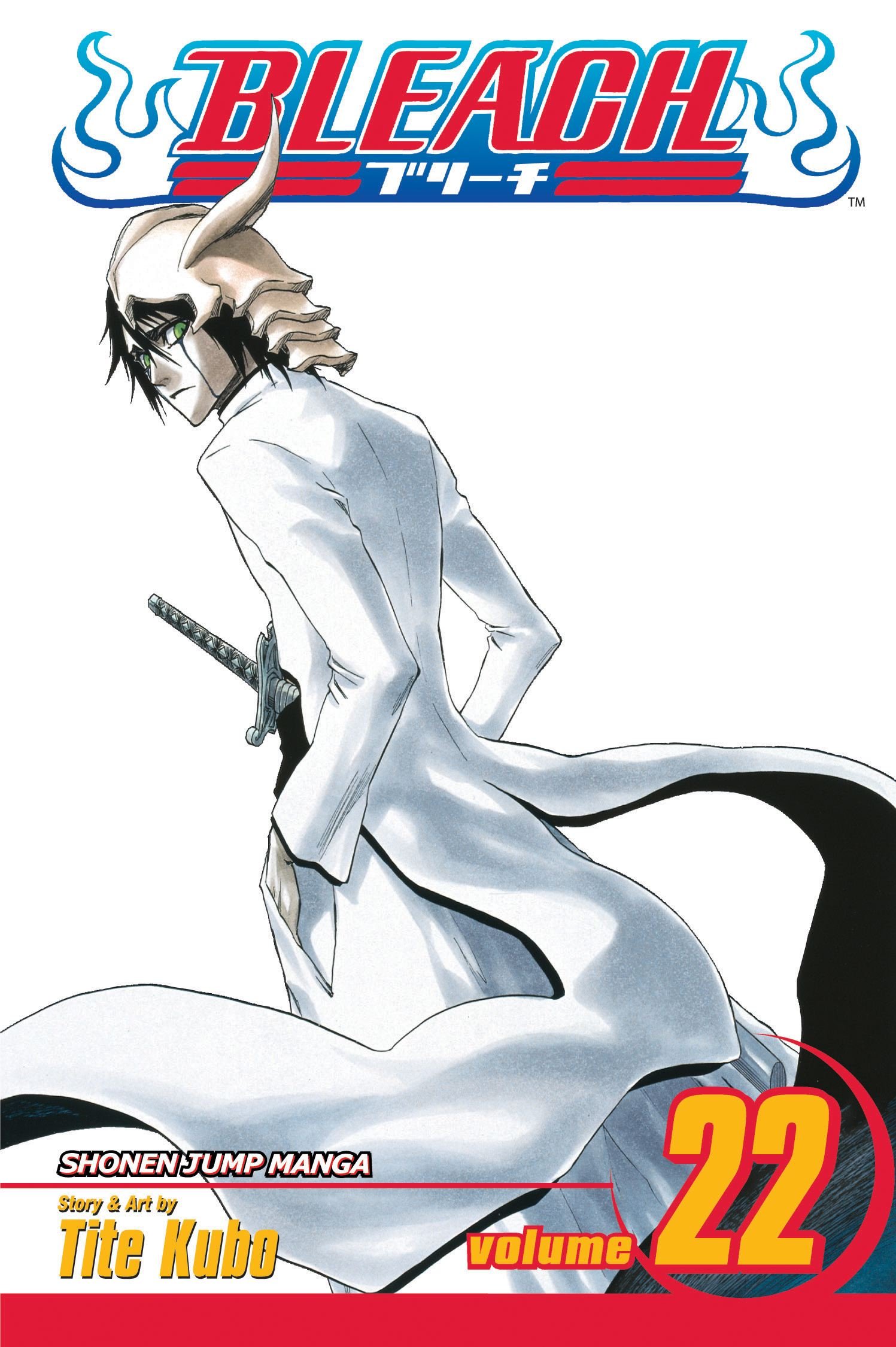 

Bleach. Volume 22