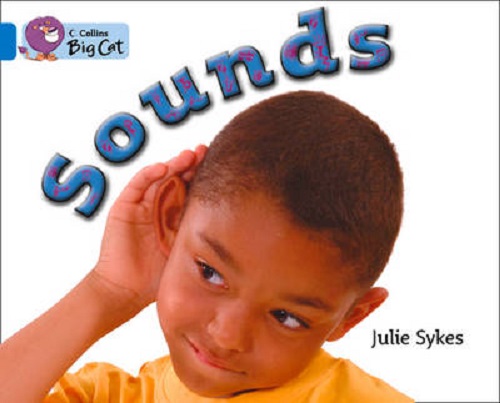 

Big Cat 4 Sounds. Workbook