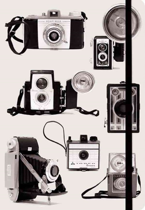 

Everyday Journal: Vintage Cameras Essential