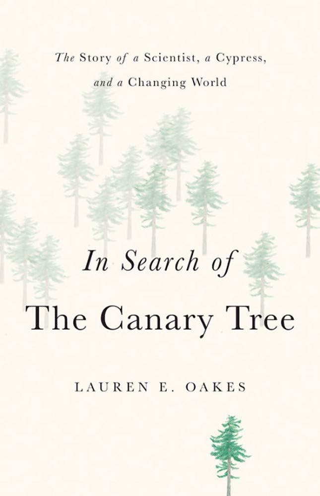 

In Search of the Canary Tree