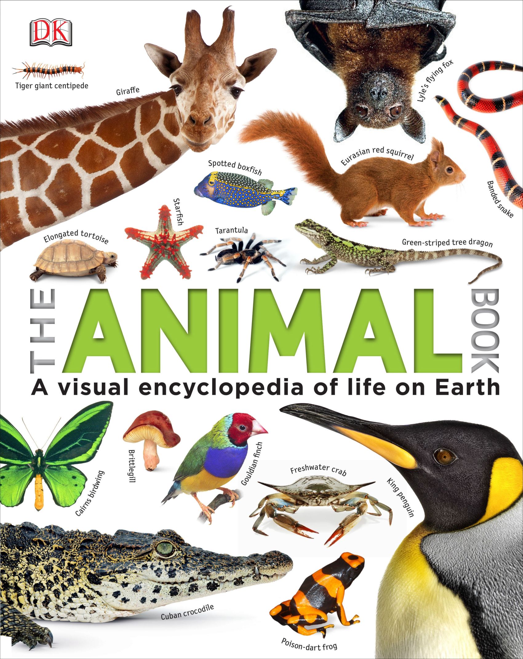 

The Animal Book
