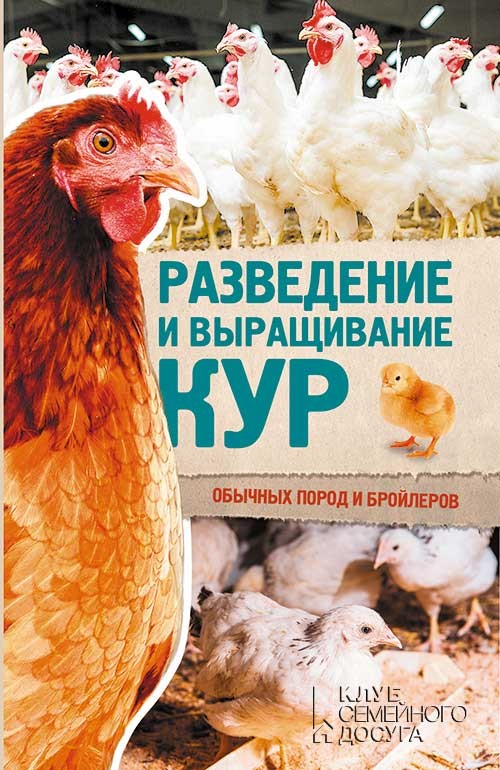 

Разведение и выращивание кур обычных пород и бройлеров