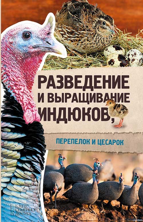 

Разведение и выращивание индюков, перепелок и цесарок
