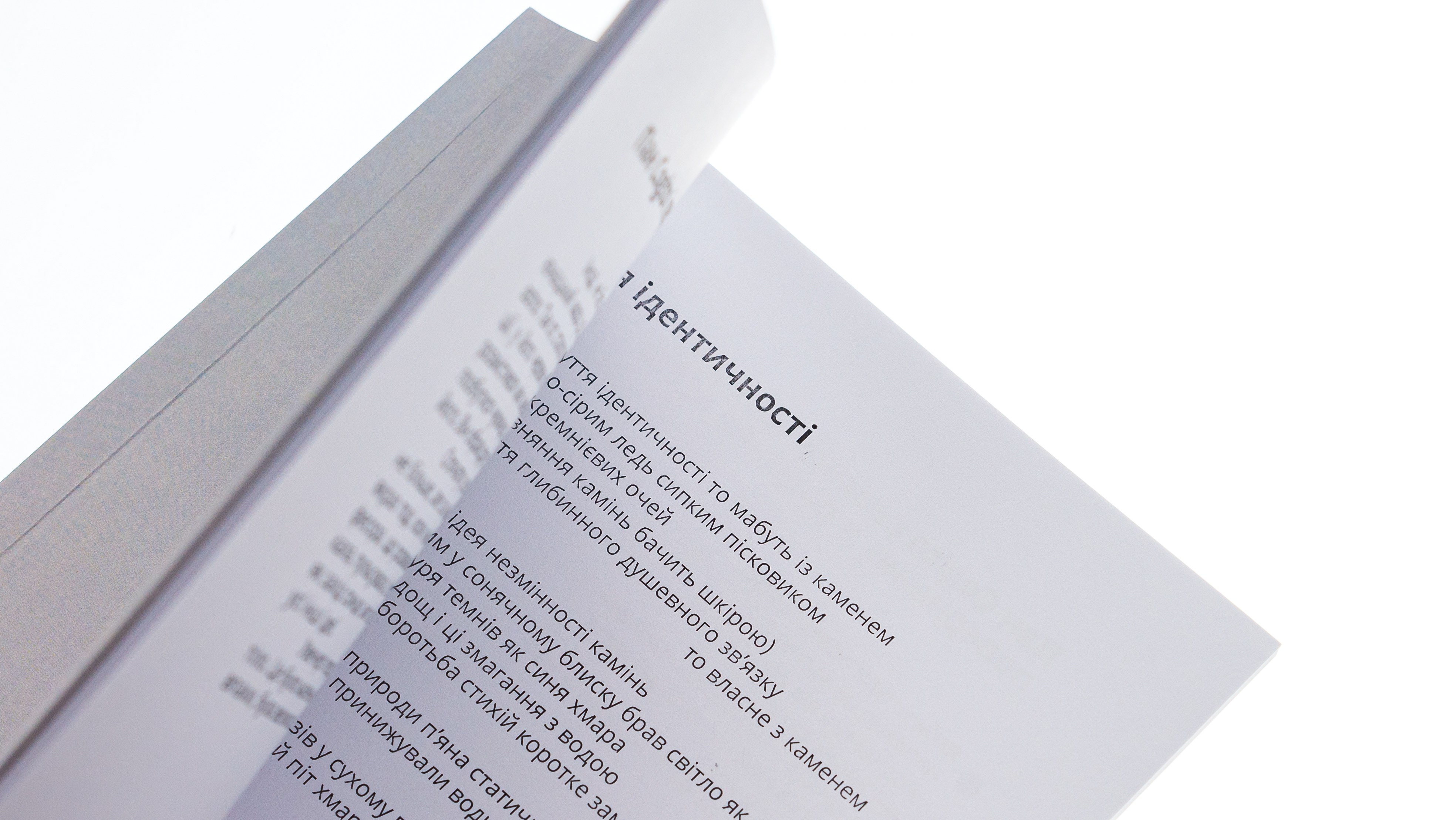 Пан Cogito — фото 5