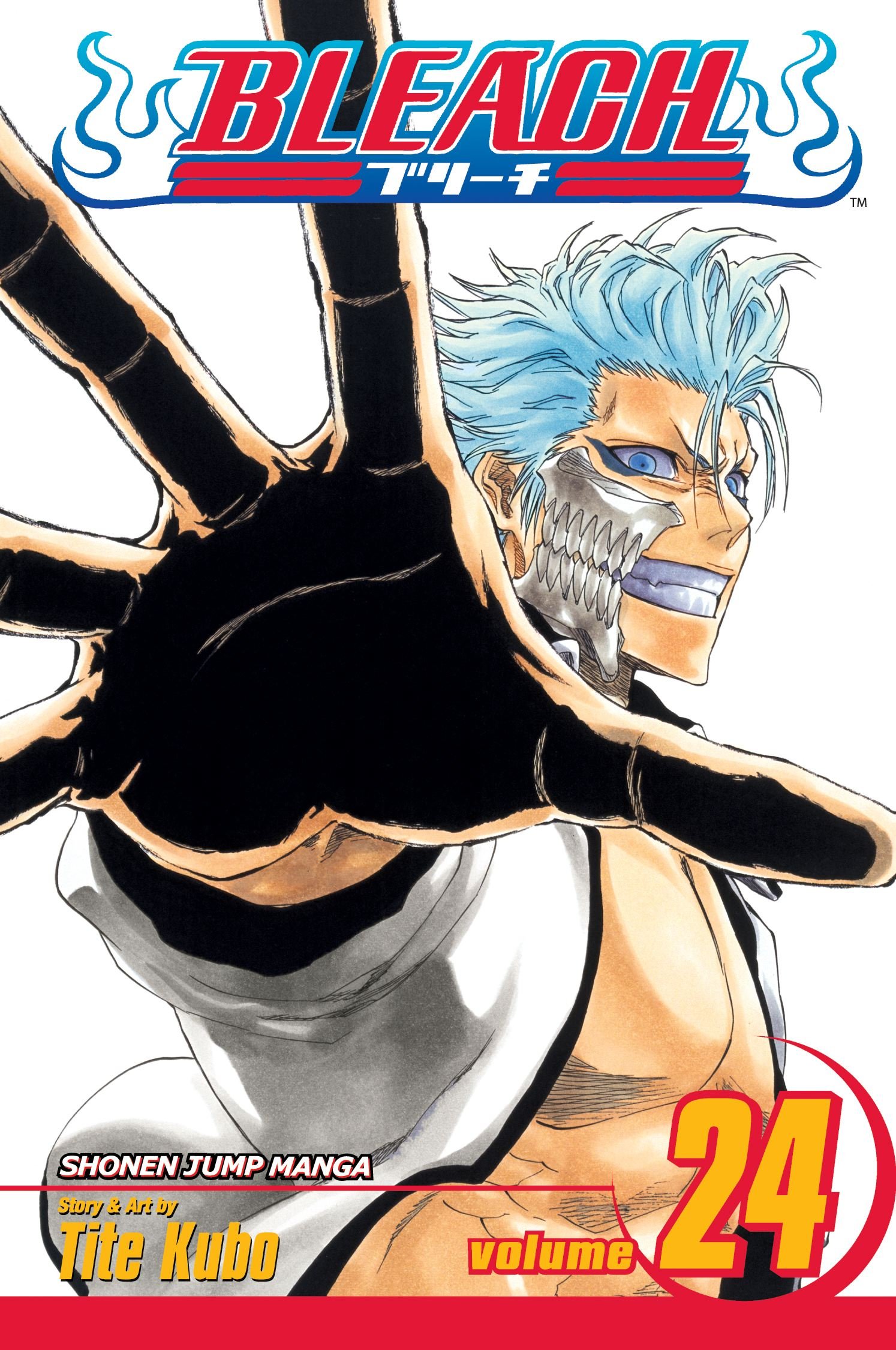 

Bleach. Volume 24
