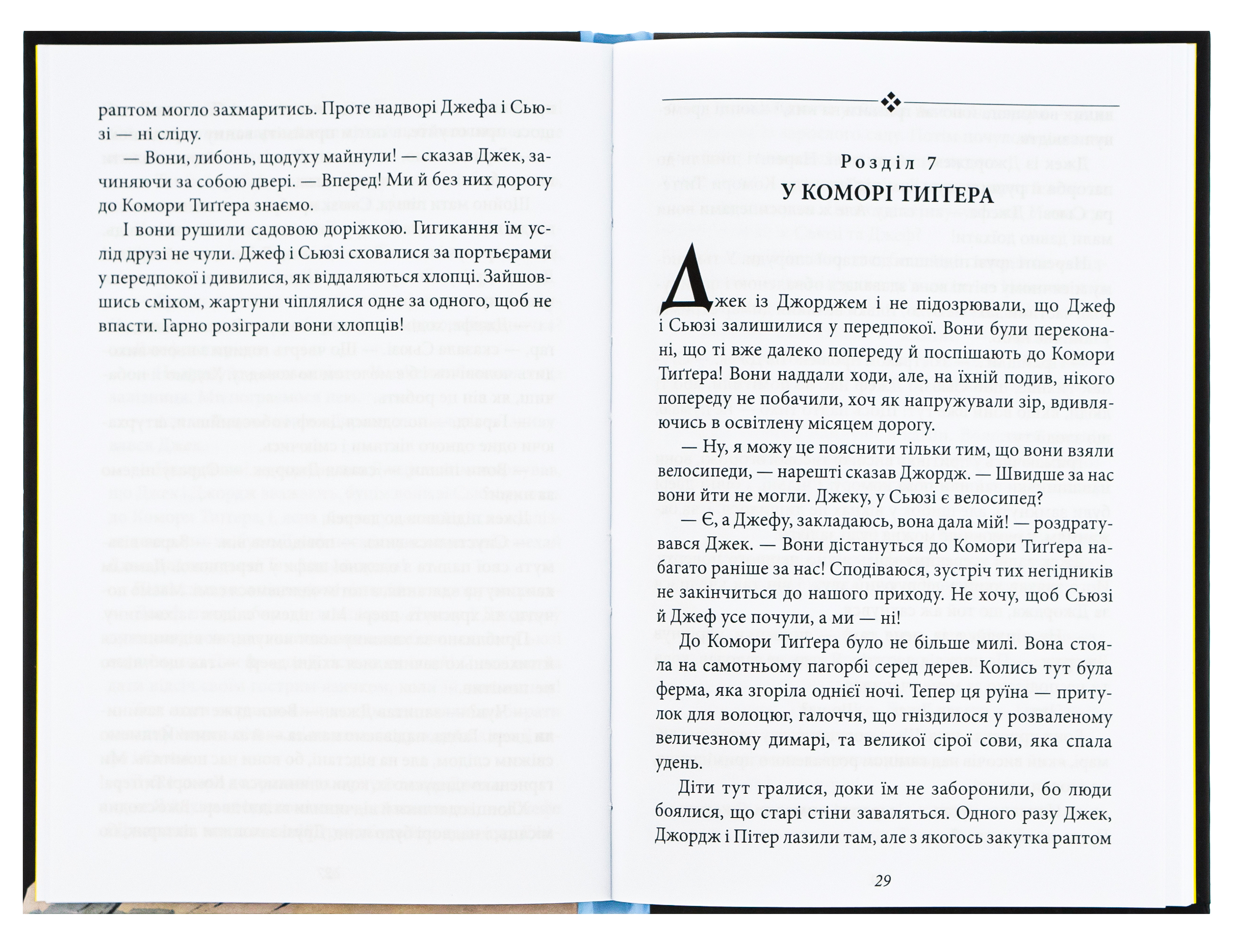 Таємна сімка. Книга 4. Таємна сімка йде по сліду — фото 5