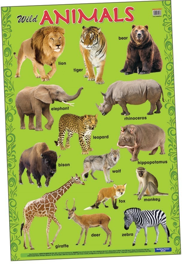 [object Object] «Education Charts. Wild Animals» - фото №1