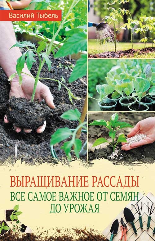 

Выращивание рассады. Все самое важное от семян до урожая