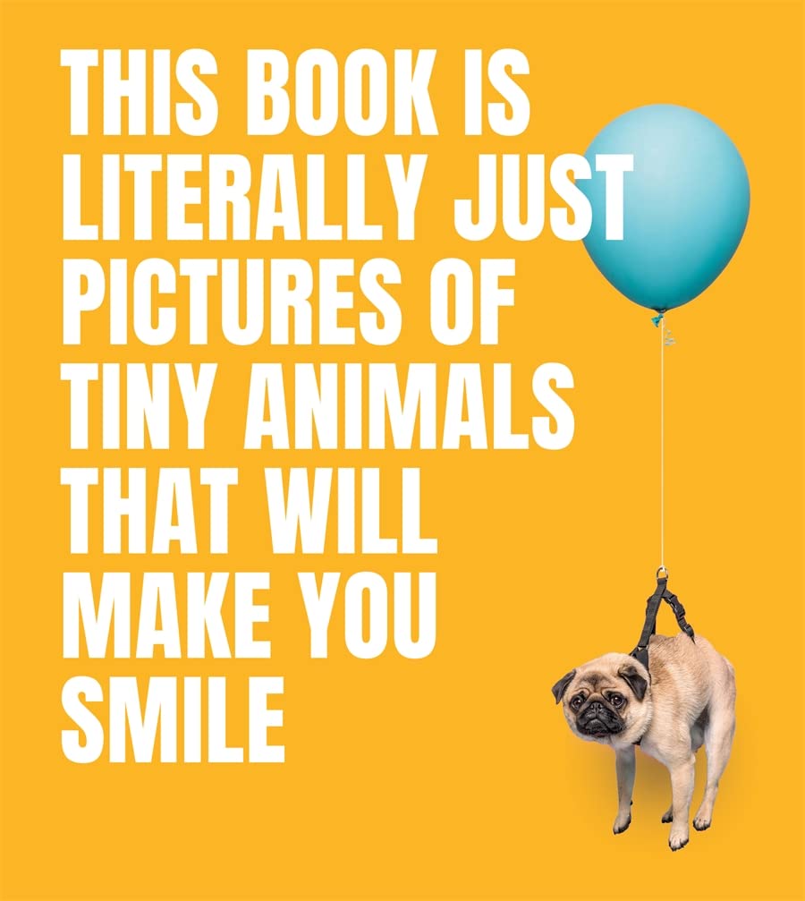 

This Book Is Literally Just Pictures of Tiny Animals That Will Make You Smile