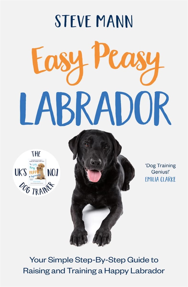 

Easy Peasy Labrador