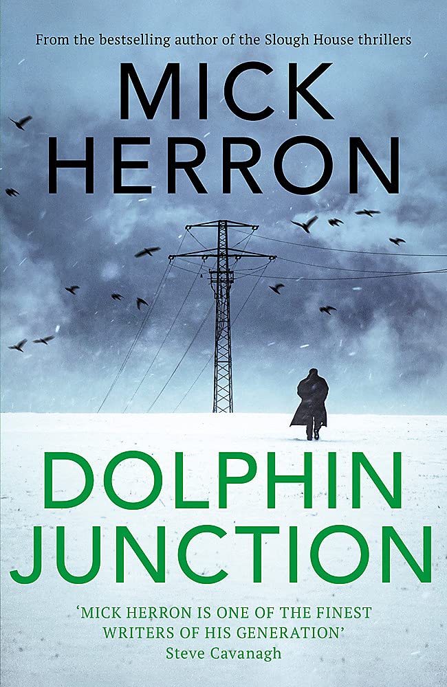 

Dolphin Junction
