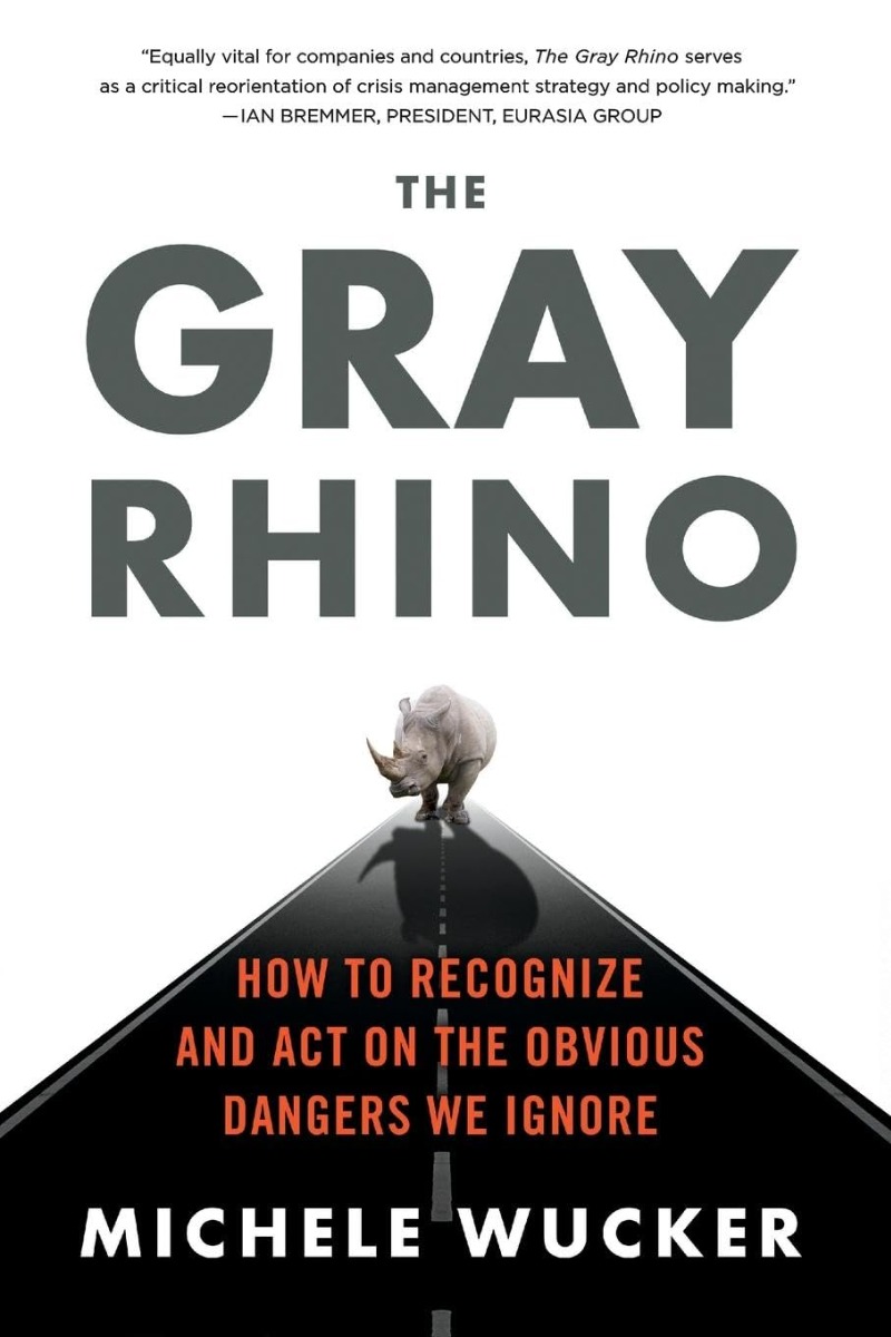 

The Gray Rhino