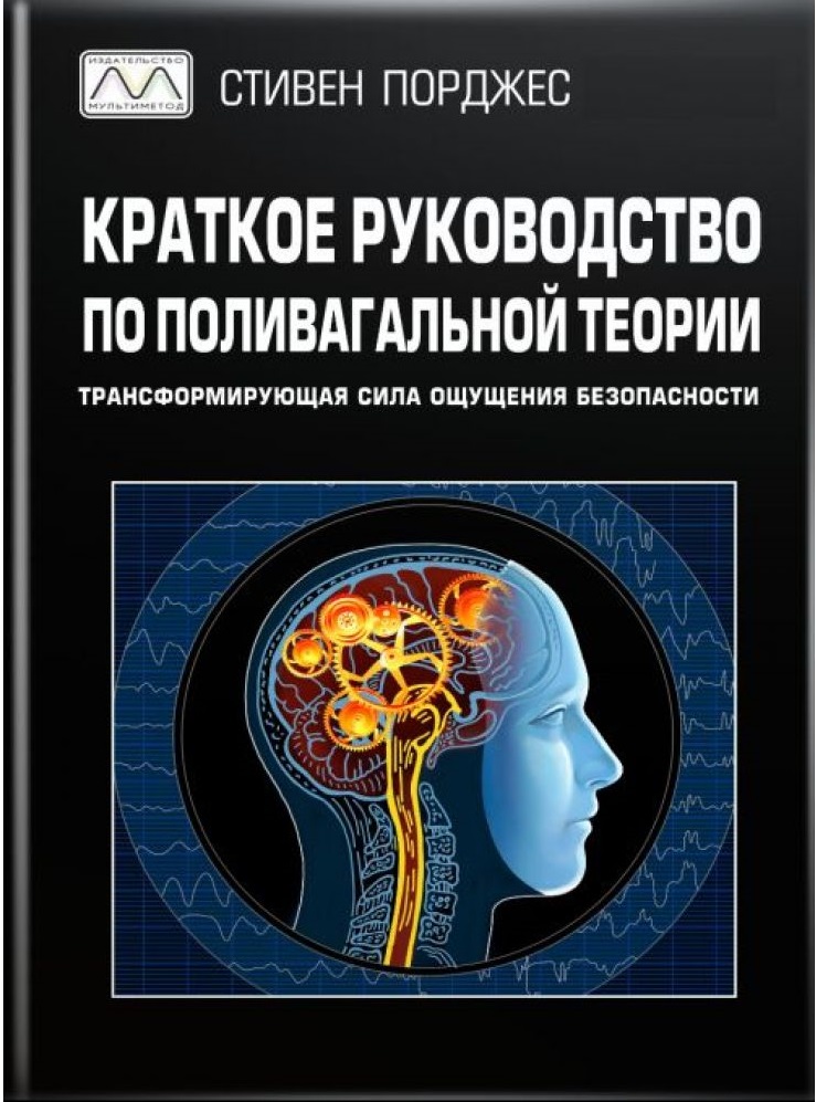 

Краткое руководство по поливагальной теории
