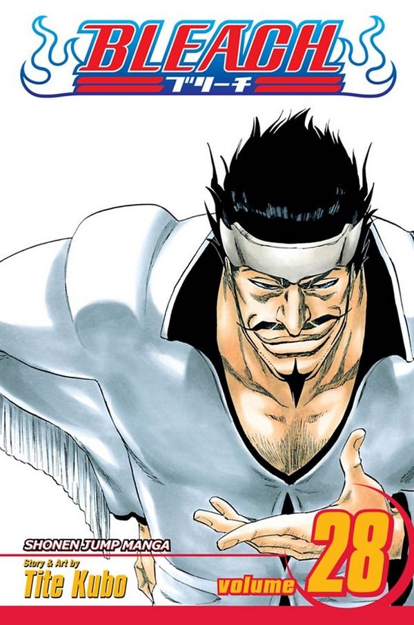 

Bleach. Volume 28