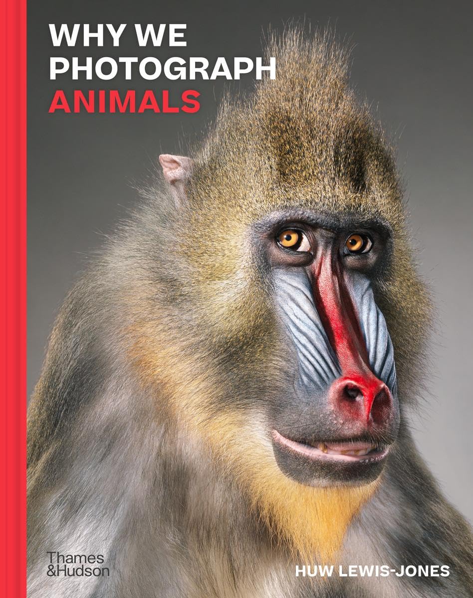Why We Photograph Animals 