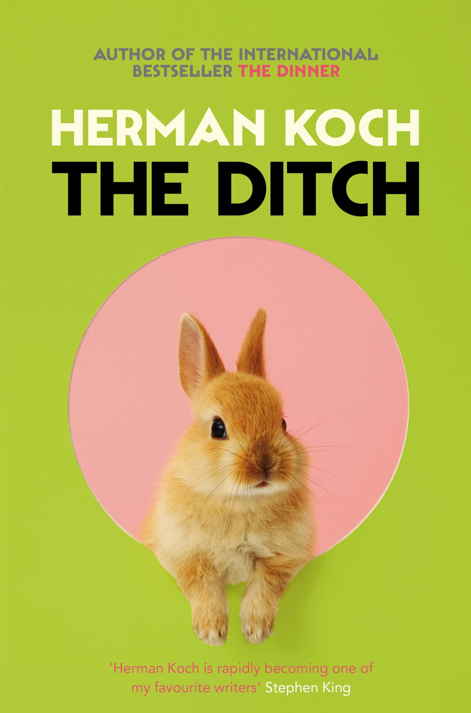 

The Ditch