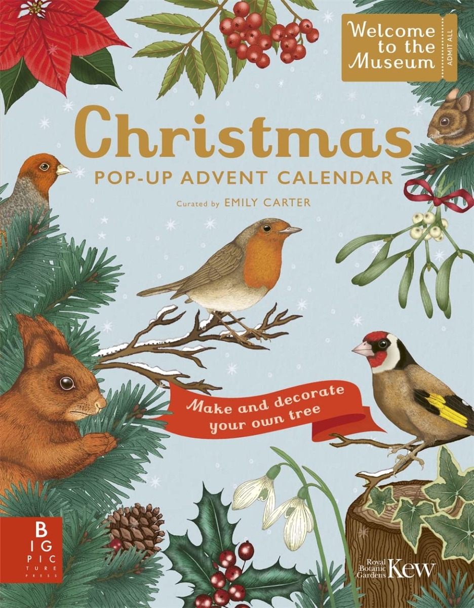 

Welcome to the Museum. A Christmas Pop-Up Advent Calendar