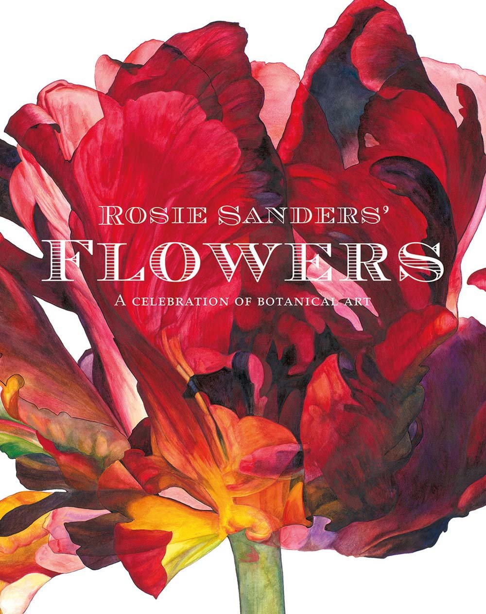 

Rosie Sanders' Flowers. A celebration of botanical art