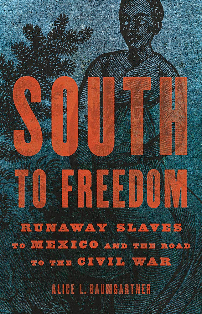 [object Object] «South to Freedom. Runaway Slaves to Mexico and the Road to the Civil War», автор Еліс Баумгартнер - фото №1