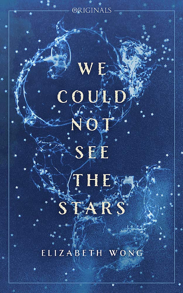 

We Could Not See the Stars