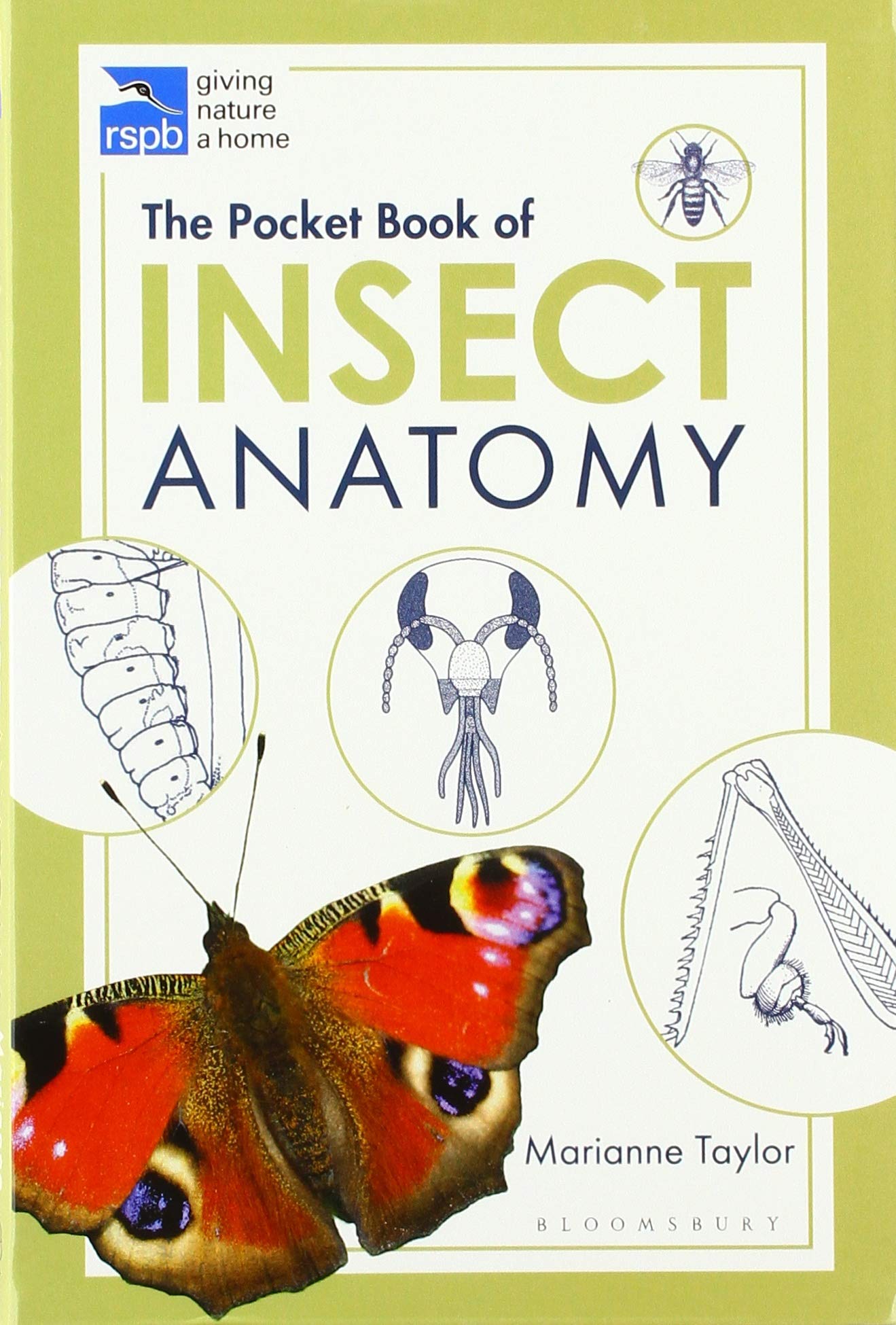 

The Pocket Book of Insect Anatomy