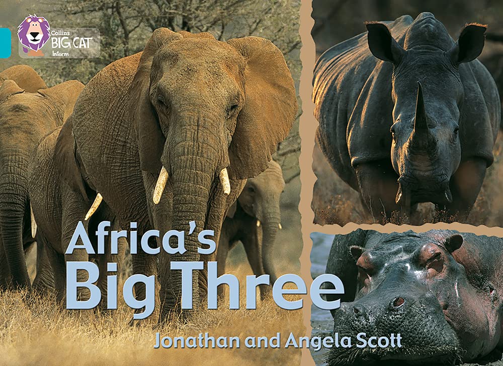 

Africa's Big Three