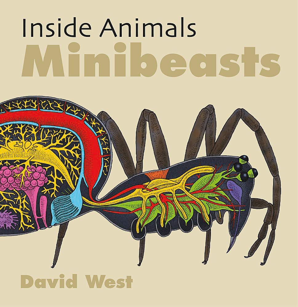 

Inside Animals. Minibeasts