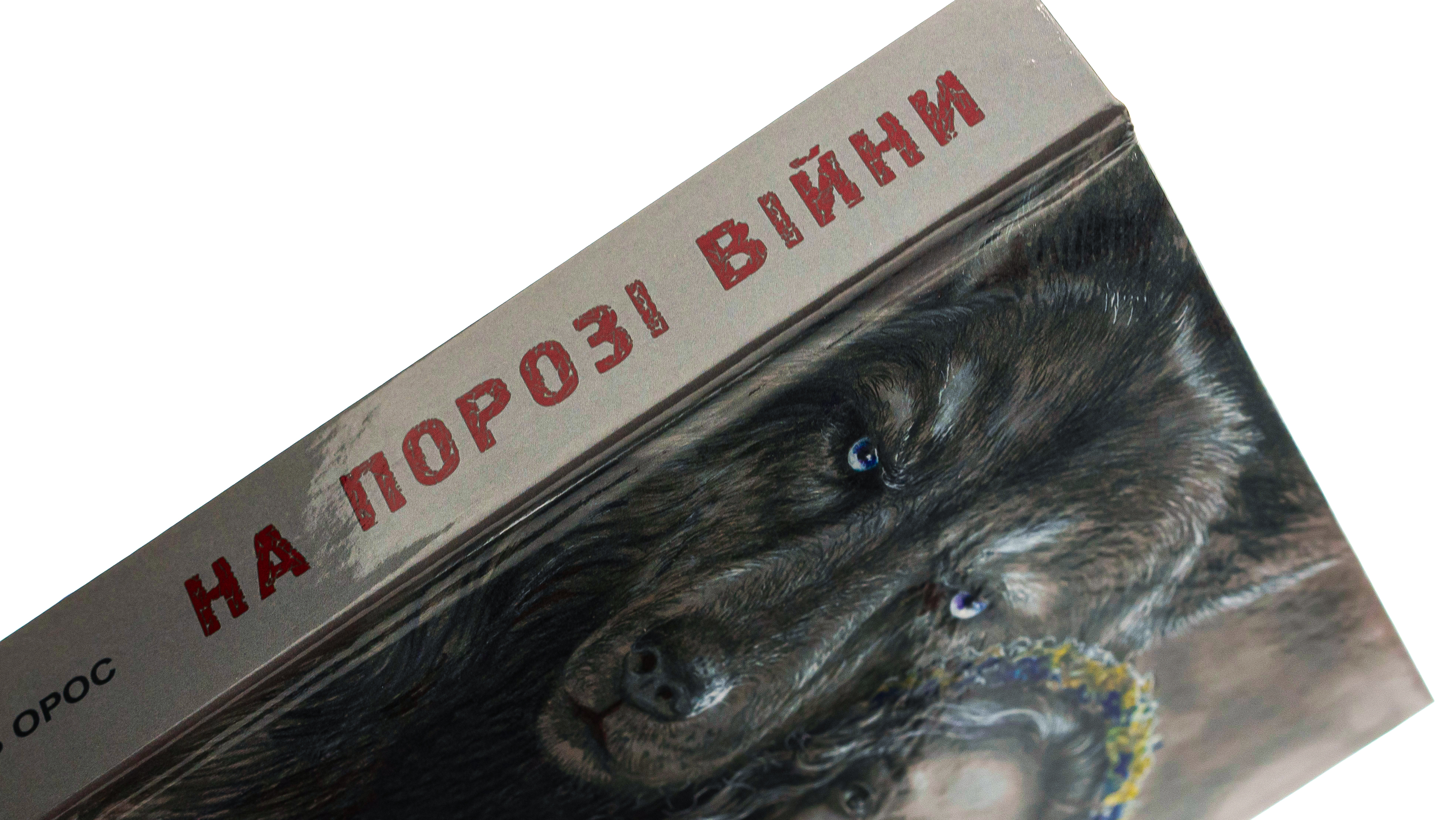 На порозі війни. Син Штаєра — фото 4