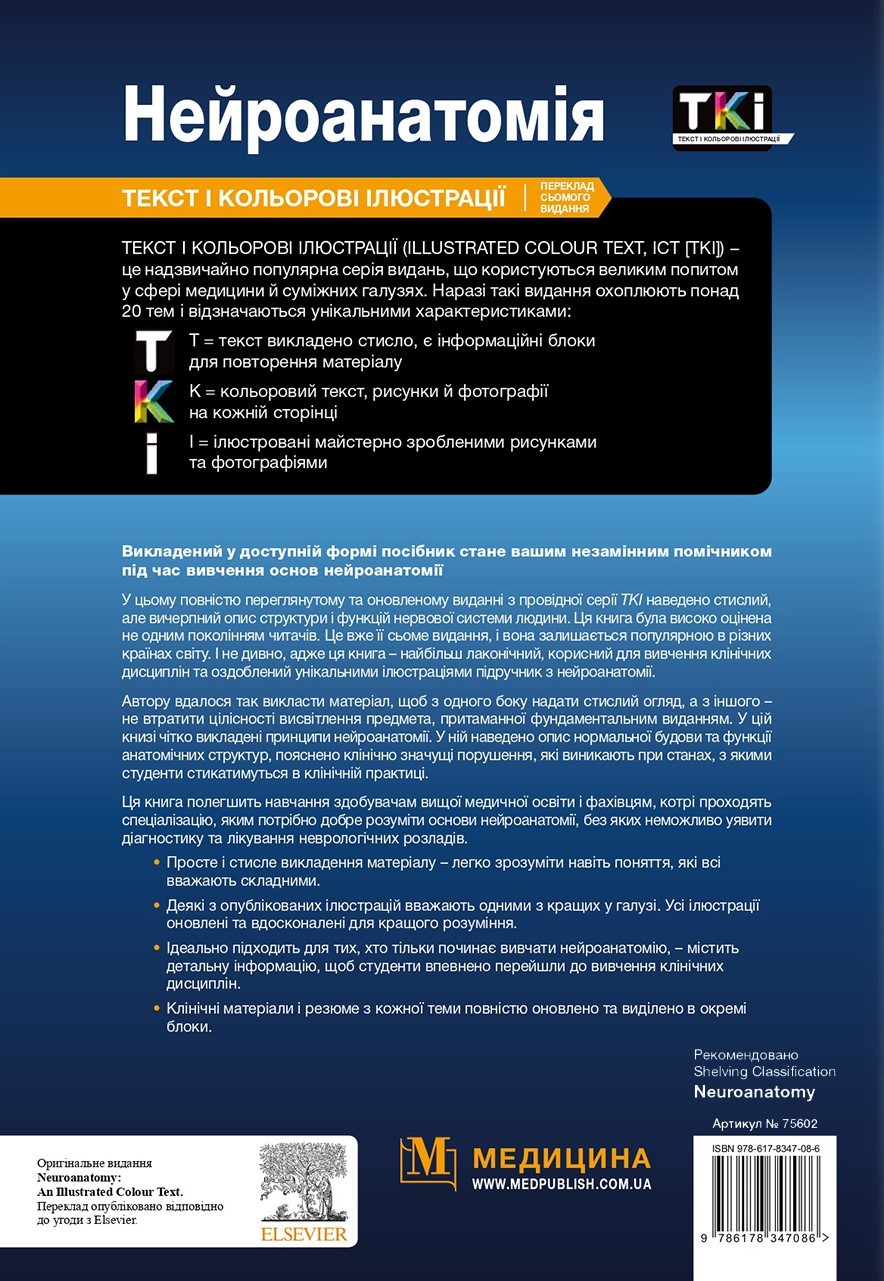 Нейроанатомія — фото 2