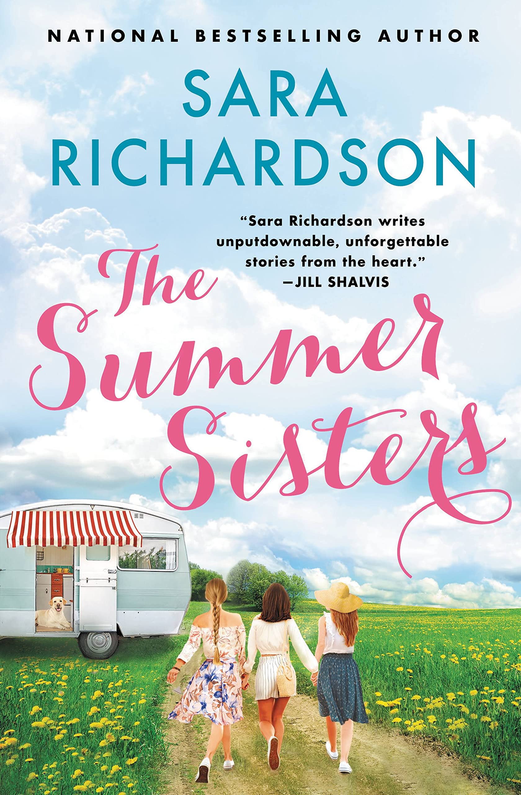 

The Summer Sisters