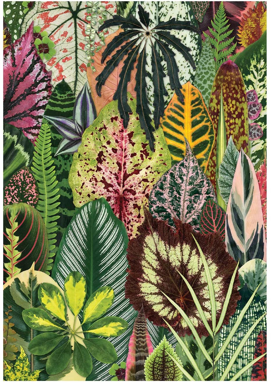

Houseplant Jungle A5 Journal